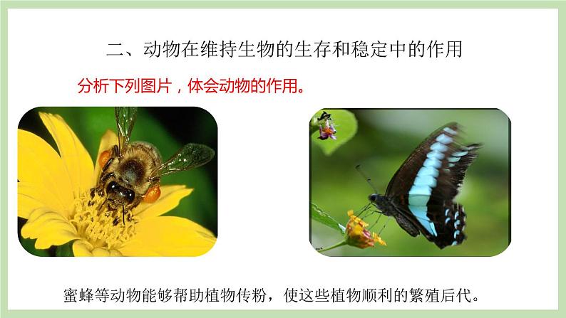 2.2.5动物在生物圈中的作用 课件 济南版生物七年级上册04