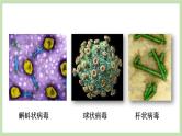 2.3.1病毒  课件 济南版生物七年级上册