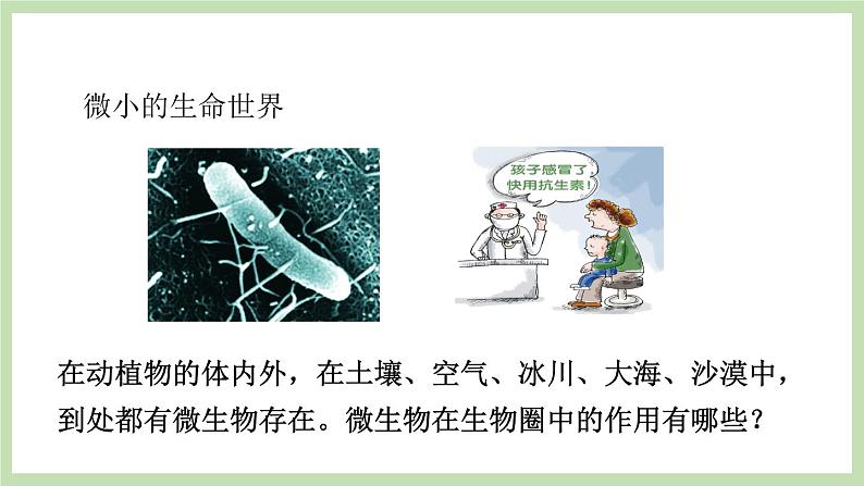 2.3.4微生物在自然界中的作用  课件 济南版生物七年级上册02