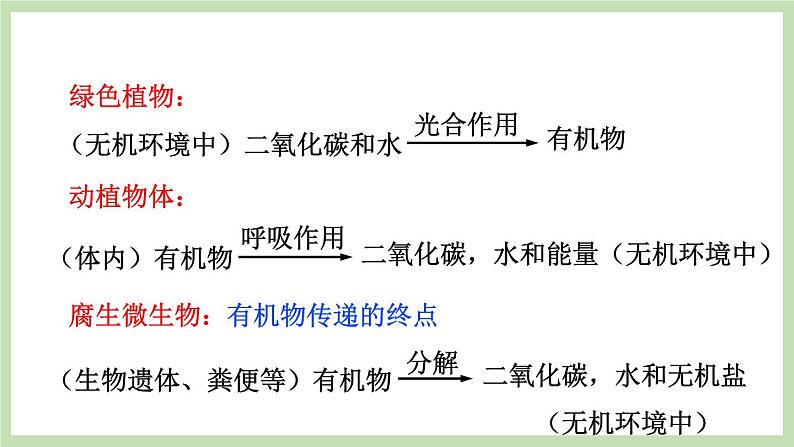 2.3.4微生物在自然界中的作用  课件 济南版生物七年级上册07