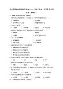 贵州省黔东南州剑河四中2022-2023学年七年级上学期月考生物试卷(含答案)