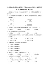 江苏省泰州市医药高新区部分学校2022-2023学年八年级上学期第一次月考生物试卷(含答案)