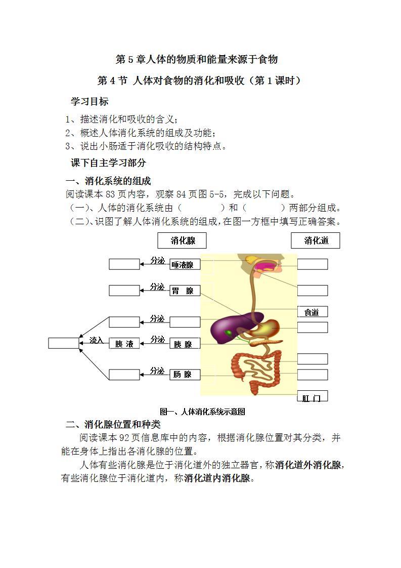 4.2.2 消化和吸收- 课件01