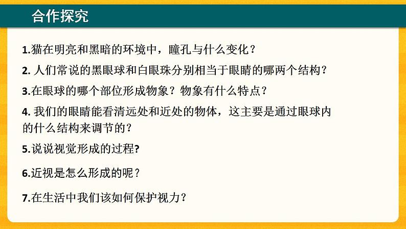 4.6 人体对外界环境的感知（第1课时） 课件05