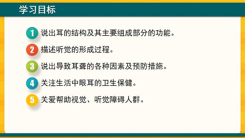 4.6.1 人体对外界环境的感知 课件03