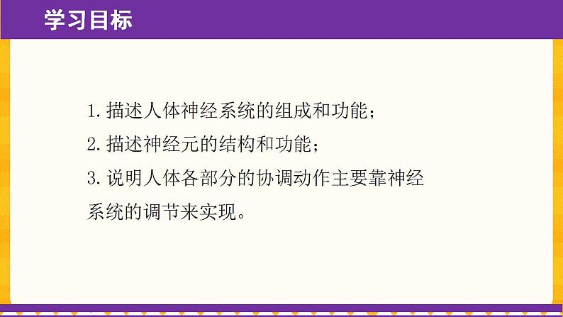 4.6.2 神经系统的组成 课件03