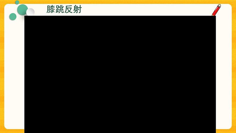 4.6.3 神经调节的基本方式 课件06