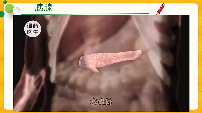 4.6.4 激素调节课件（人教版）第6页