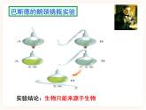 21.1生命的起源 课件