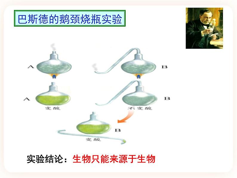 21.1生命的起源 课件05