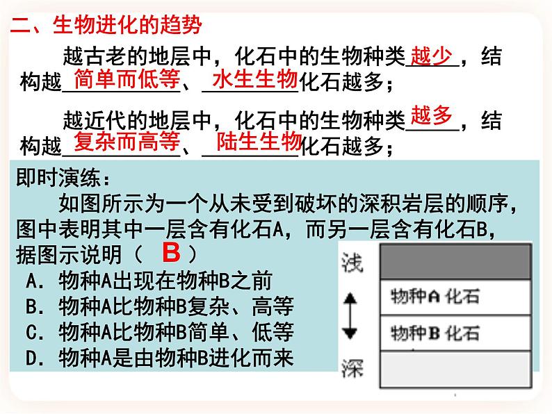 21.2.1生物的进化 课件第4页