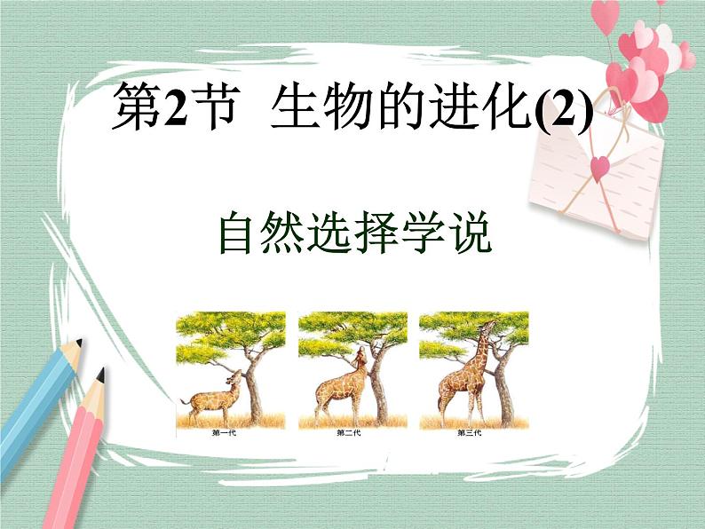 21.2.2生物的进化 课件第1页