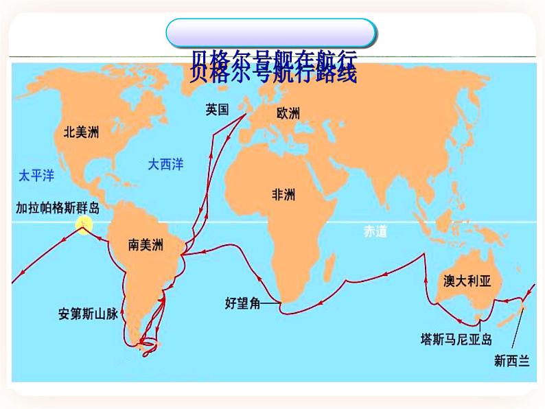 21.2.2生物的进化 课件第3页