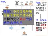 21.2.2生物的进化 课件