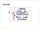 22.3.2植物的主要类群 课件