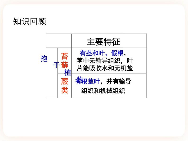 22.3.2植物的主要类群 课件第1页