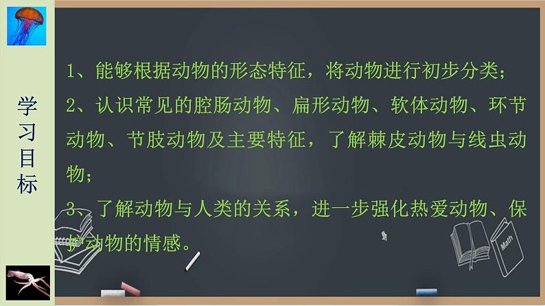 22.4动物的主要类群(第1课时）无脊椎动物 课件第3页