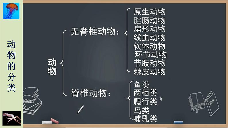 22.4动物的主要类群(第1课时）无脊椎动物 课件第6页