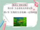 23.1生物的生存依赖一定的环境 课件