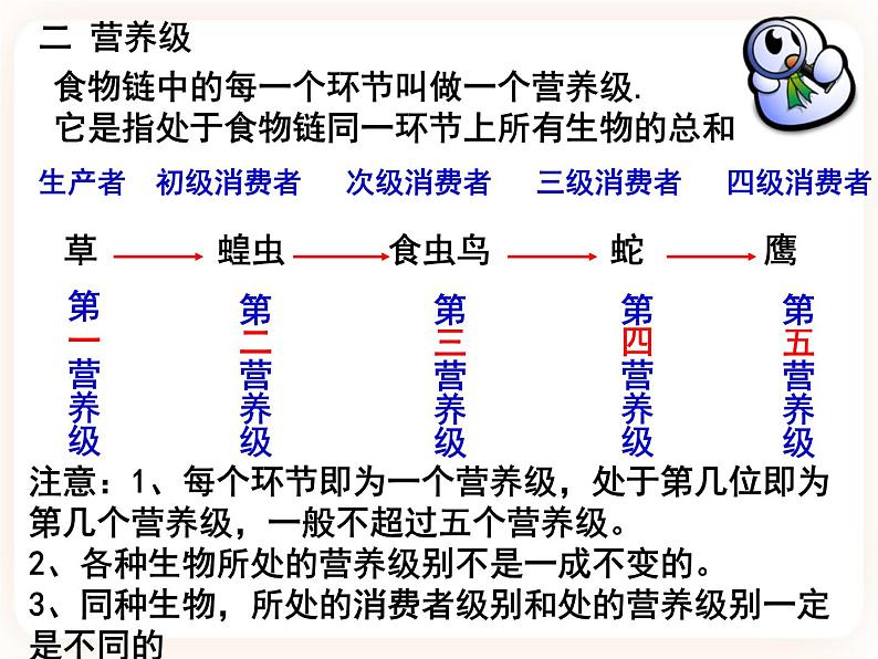 23.3生态系统的结构和功能 课件05