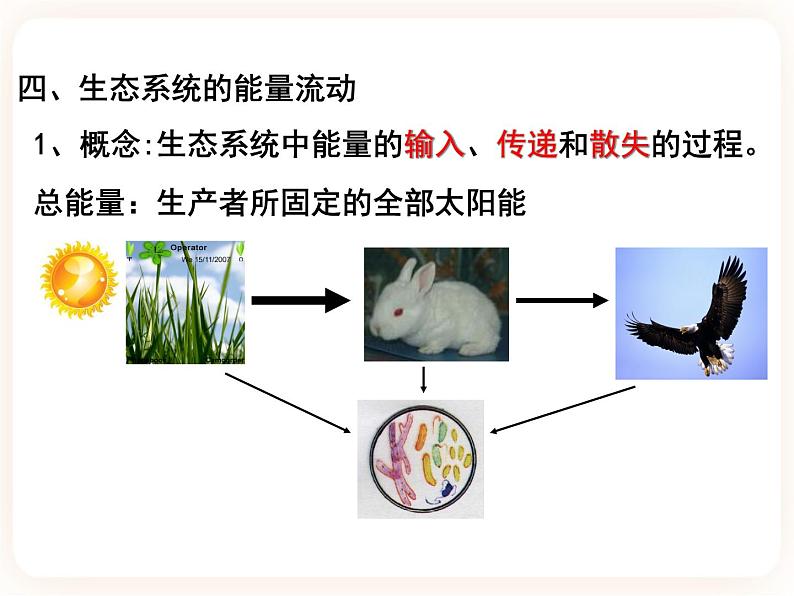 23.3生态系统的结构和功能 课件07