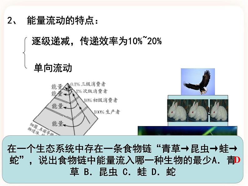 23.3生态系统的结构和功能 课件08