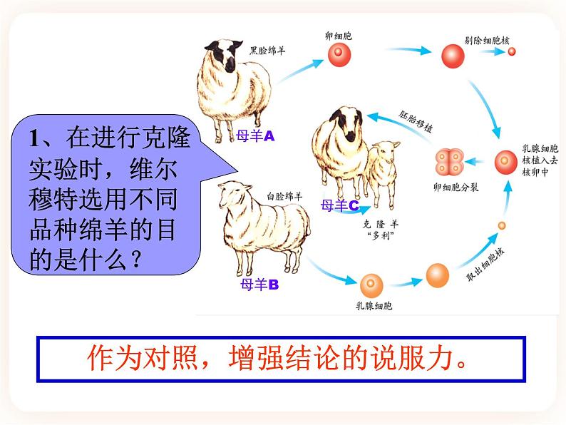 25.2现代生物技术 课件08