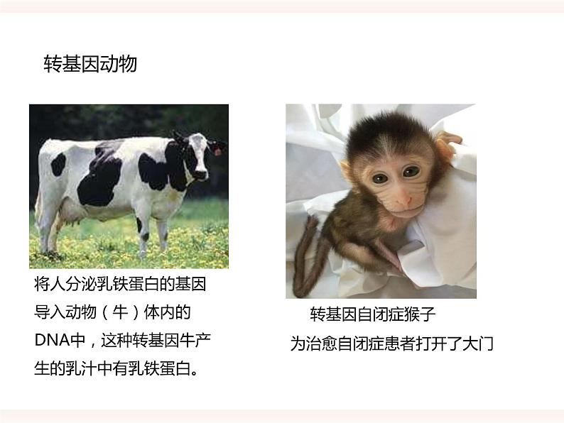第六单元第四章《现代生物技术》（课件）第8页