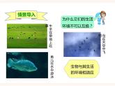 八下第七单元第一章第二节 生物对环境的适应和影响（课件+教案）