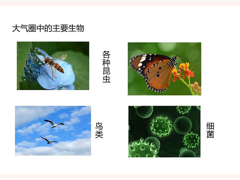 八下第七单元第二章第三节 生物圈（教案+课件）07