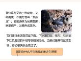 八下第七单元 1.1（一）非生物因素对生物的影响 课件+教案