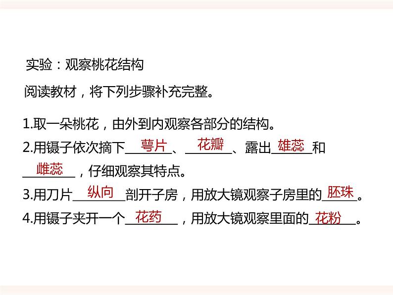 第一章第一节 被子植物的生殖（一）有性生殖（课件）第5页