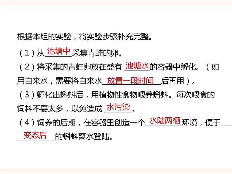 八下第六单元 1.2（二）两栖类、鸟类的生殖和发育 课件+教案04