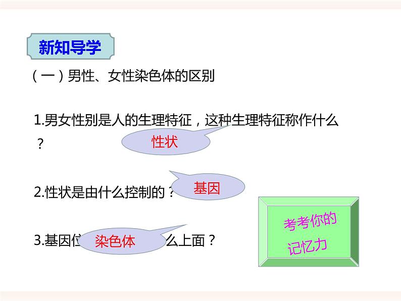 八下第六单元 2.1（三）人的性别决定 课件+教案03