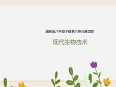 八下第六单元 第四章 现代生物技术 课件+教案