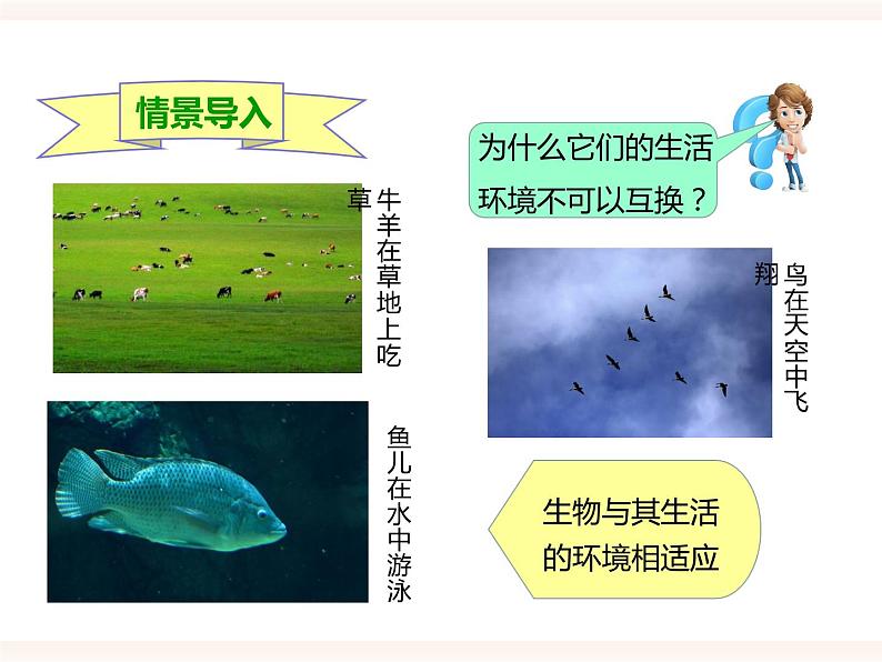 八下第七单元 1.2 生物对环境的适应和影响 课件+教案02