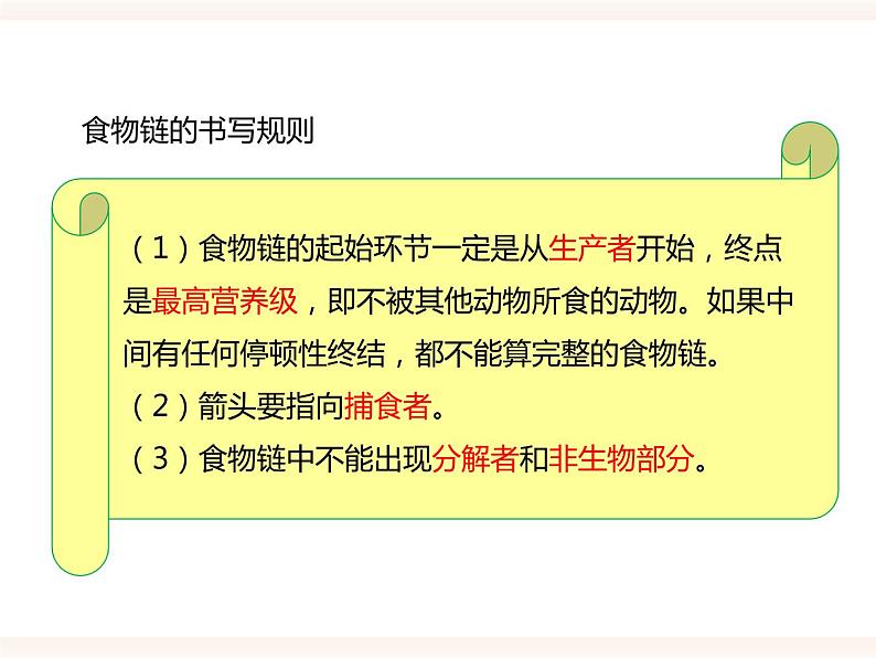 八下第七单元 2.2 食物链和食物网 课件+教案04