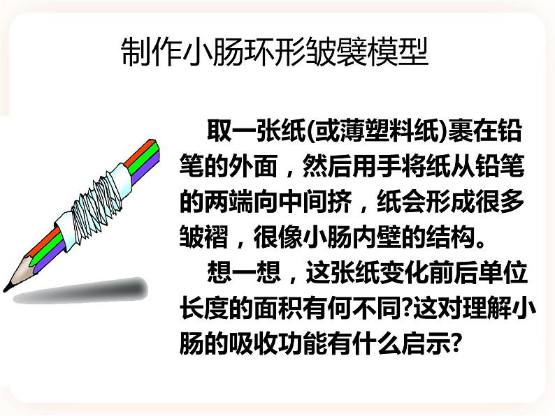 冀教版生物七年级下册 2.1.3营养物质的吸收和利用 课件06