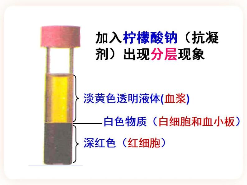 2.1物质运输的载体 课件05