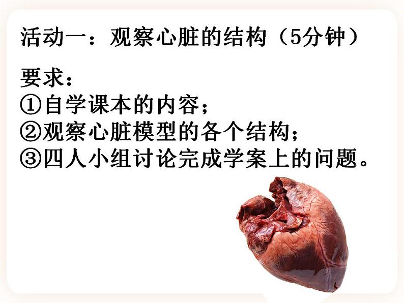 冀教版生物七年级下册 2.2物质运输的器官 课件04