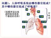 3.1呼吸 课件