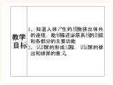 冀教版生物七年级下册 3.2排泄 课件