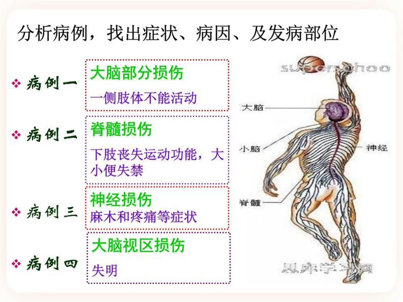 4.2信息的传递 课件08