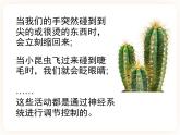 冀教版生物七年级下册 4.3信息的处理 课件