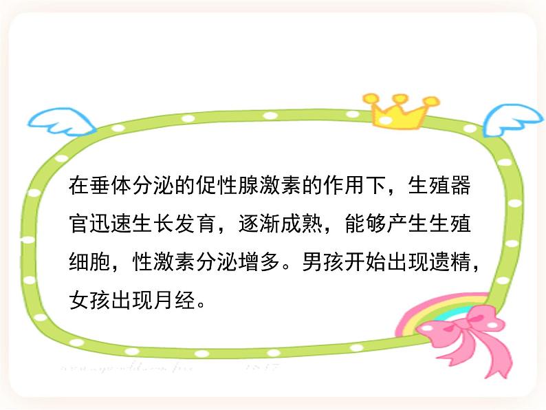 冀教版生物七年级下册 5.2健康地度过青春期 课件08