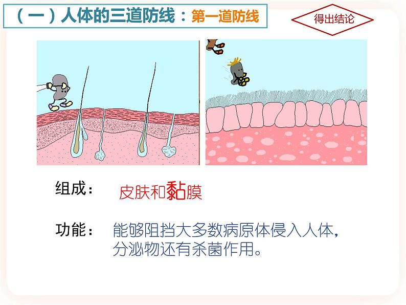 冀教版生物七年级下册 6.1免疫 课件06