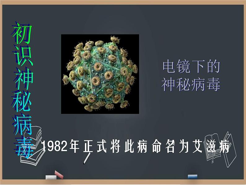 冀教版生物七年级下册 6.3艾滋病的发生与流行 课件04