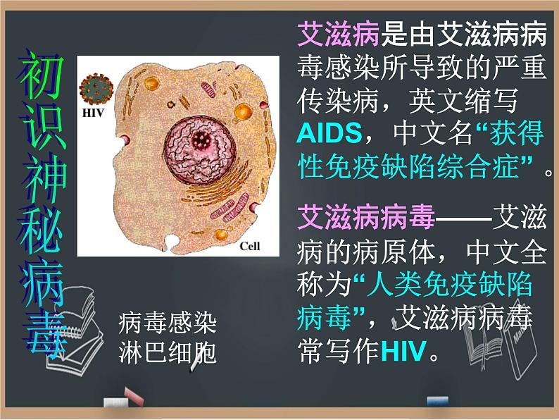 冀教版生物七年级下册 6.3艾滋病的发生与流行 课件06