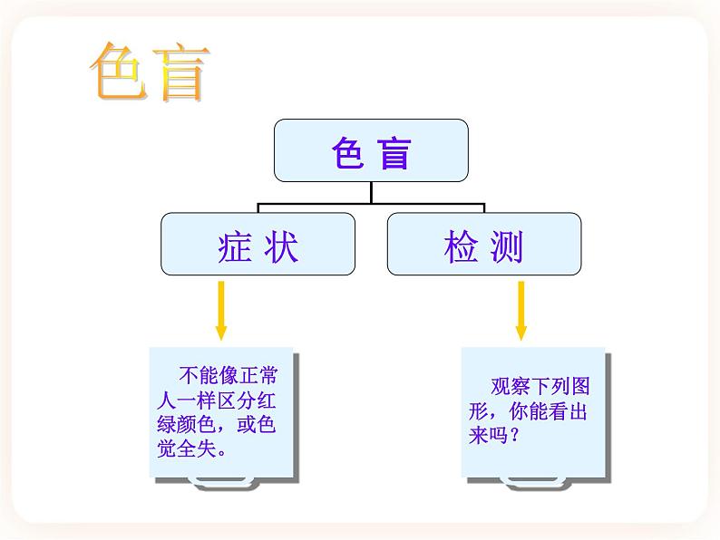 22.4遗传病和优生优育 课件07