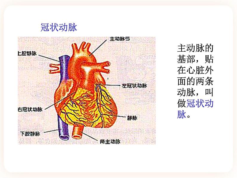 25.2威胁健康的主要疾病 课件04